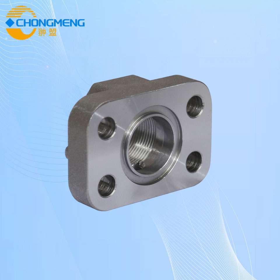 DL-DY FORGING FLANGE 