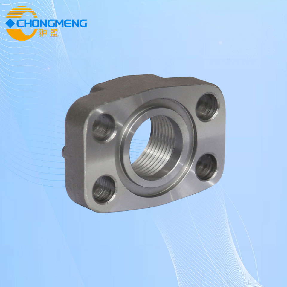 DL-DY FORGING FLANGE 