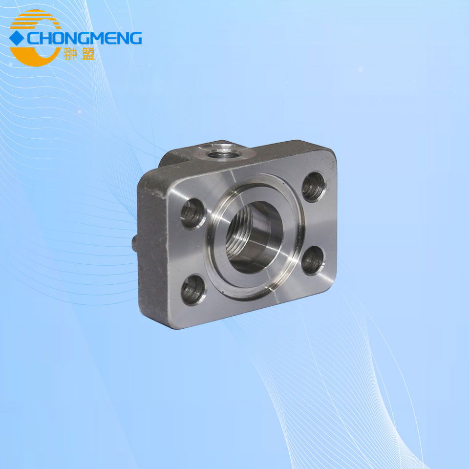 DL-DY FORGING FLANGE 
